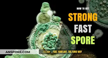 Rapid Spore Strength: Proven Techniques for Quick and Powerful Growth