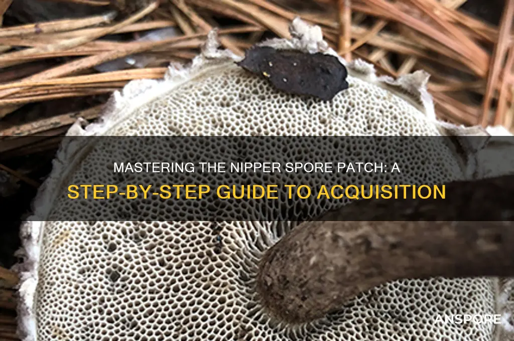 how to get the nipper spore patch