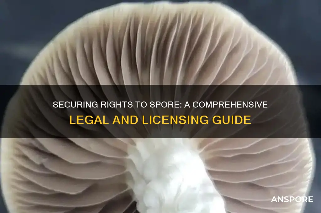 how to get the rights to spore