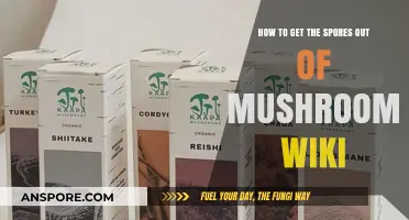 Effective Techniques for Extracting Spores from Mushrooms: A Comprehensive Guide