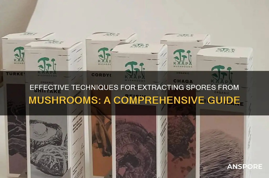 how to get the spores out of mushrooms wiki