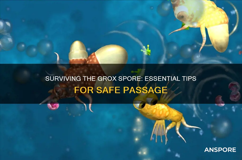 how to get through the grox spore
