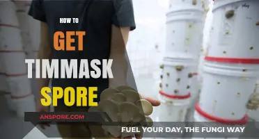 Discovering Timmask Spore: A Comprehensive Guide to Acquisition and Cultivation