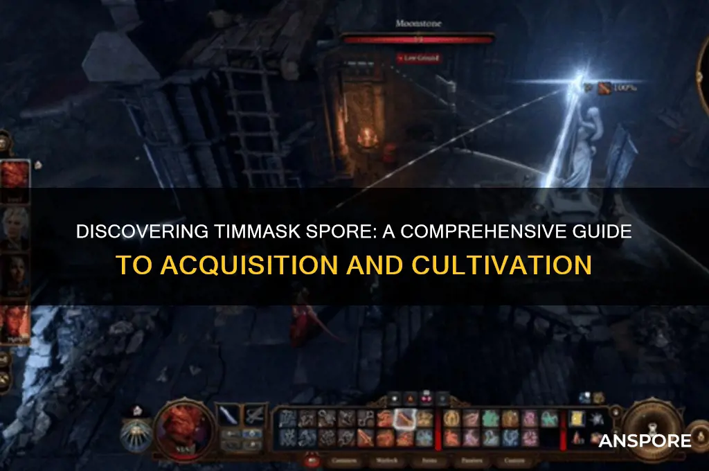 how to get timmask spore