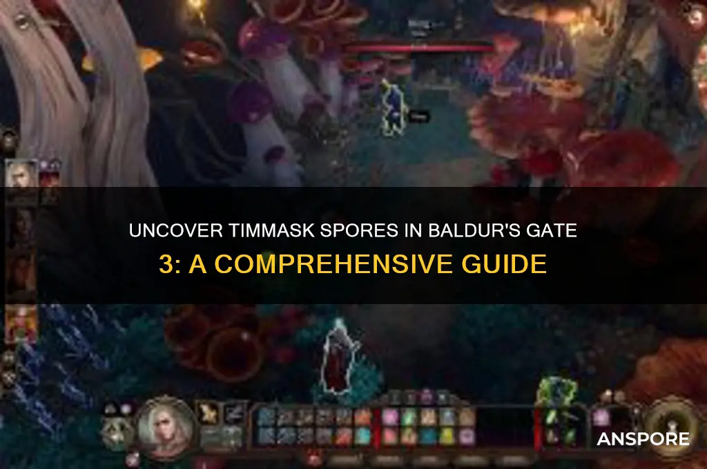 how to get timmask spores baldurs gate 3
