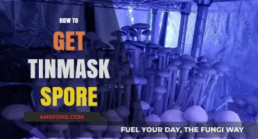Discovering Tinmask Spore: A Step-by-Step Guide to Successful Cultivation
