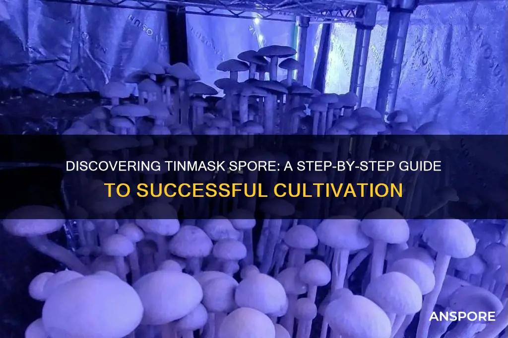 how to get tinmask spore