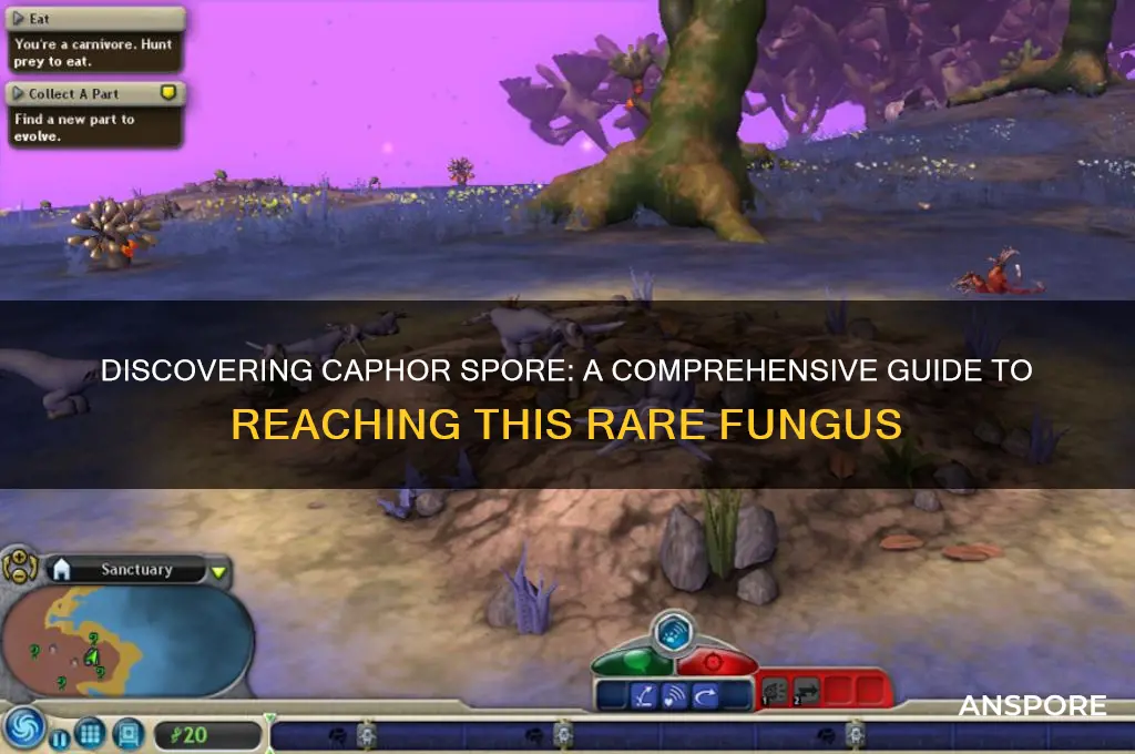 how to get to caphor spore