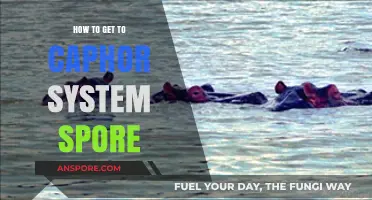 Navigating the Caphor System Spore: A Comprehensive Travel Guide