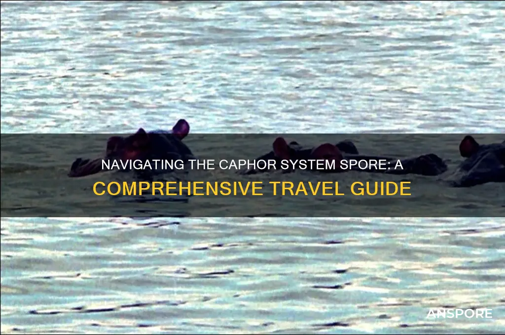 how to get to caphor system spore
