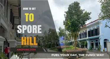 Discover the Best Route to Reach Spore Hill Effortlessly