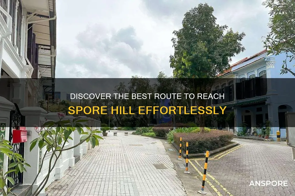 how to get to spore hill