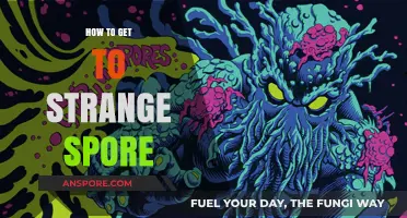 Unveiling the Path: How to Reach Strange Spore Safely