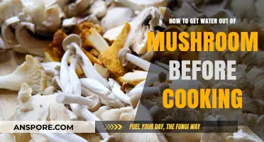 Efficiently Removing Water from Mushrooms for Perfect Cooking Results