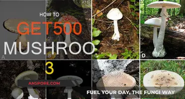 Harvesting 500 Mushroom 3: A Step-by-Step Guide