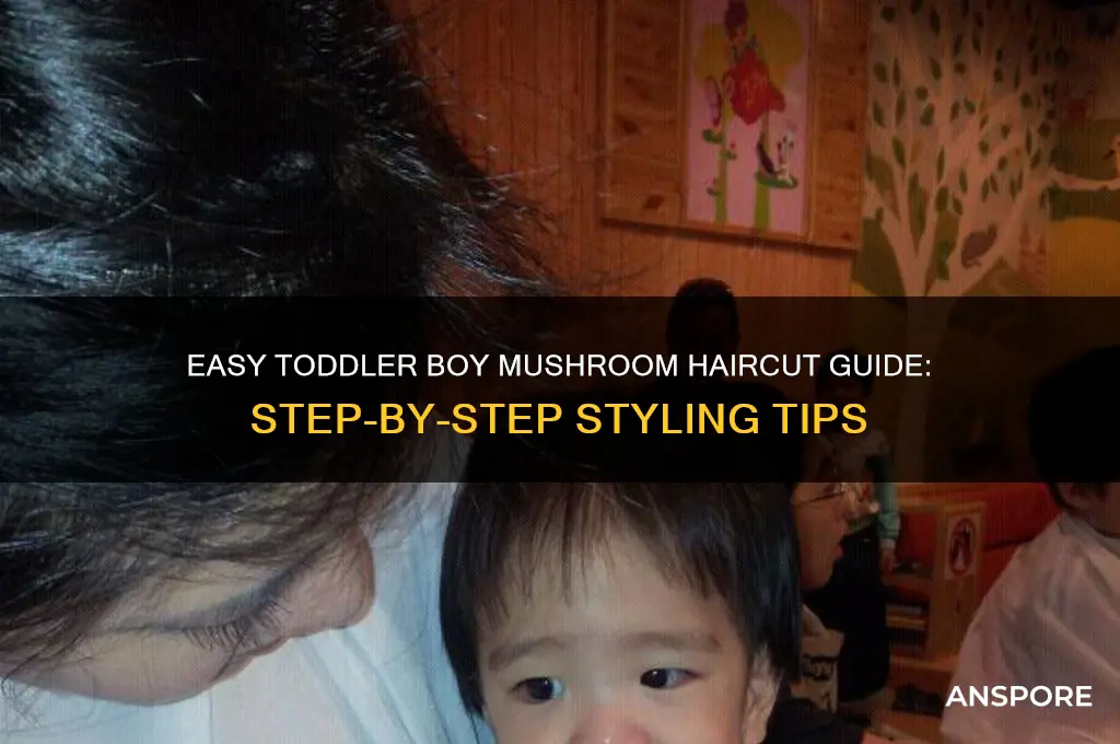 how to give a mushroom haircut to toddler boy