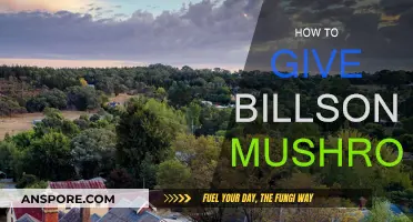 The Ultimate Guide to Giving Billson Mushrooms