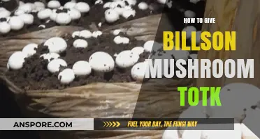 Mastering Billson Mushroom Farming in TotK: A Comprehensive Guide