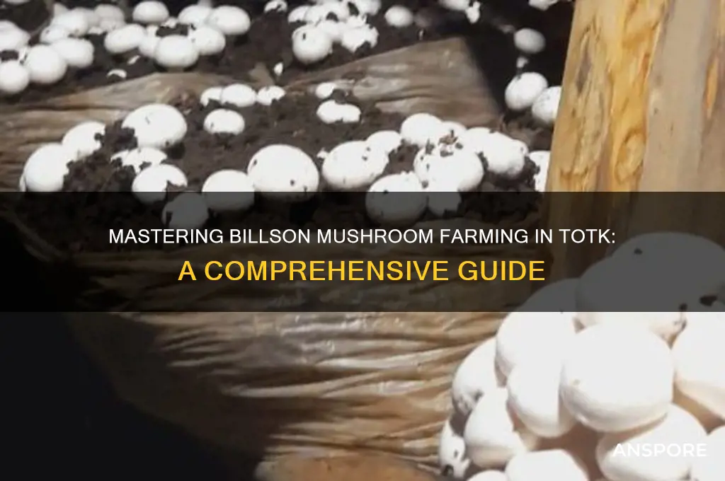 how to give billson mushrooms totk