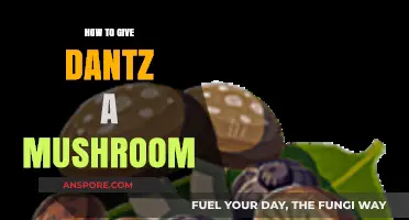 Safely Feeding Dantz a Mushroom: A Step-by-Step Guide