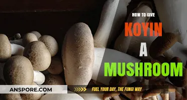 Safely Feeding Koyin Mushrooms: A Step-by-Step Guide for Owners