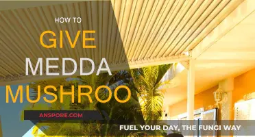 The Magic of Medda Mushrooms: A Beginner's Guide