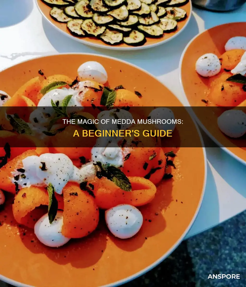 how to give medda mushroom