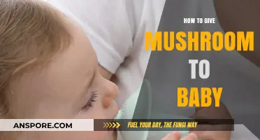 Introducing Mushrooms to Your Baby: A Safe and Nutritious Guide