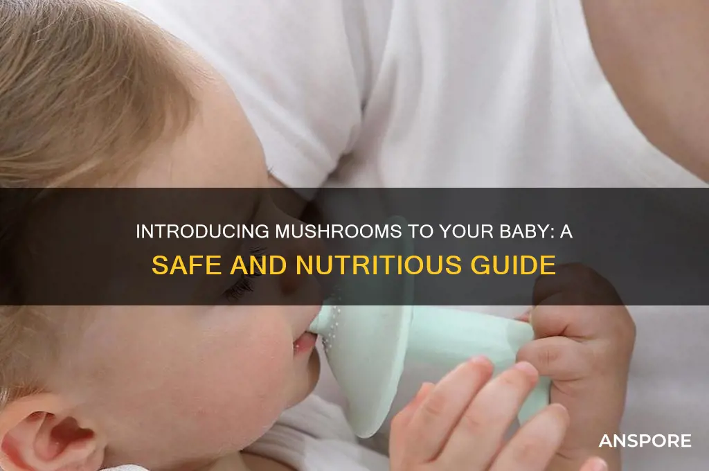 how to give mushroom to baby