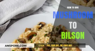 Creative Ways to Introduce Mushrooms into Bilson's Diet Easily