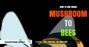 Boosting Bee Health: Reishi Mushroom Feeding Guide for Beekeepers