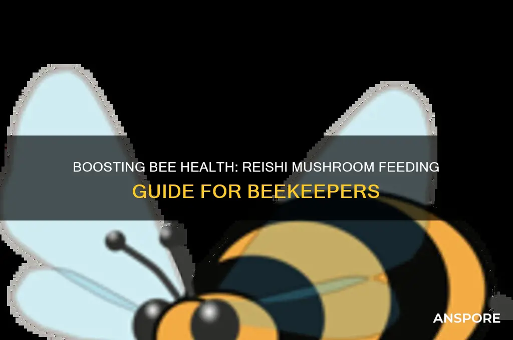 how to give reishi mushrooms to bees