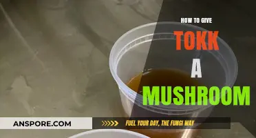 Mastering the Art of Giving Your Tokk a Mushroom Safely