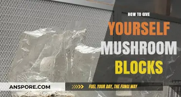 DIY Mushroom Cultivation: Crafting Your Own Mushroom Blocks at Home