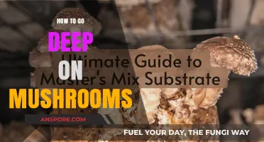 Exploring the Depths: A Comprehensive Guide to Mushroom Cultivation and Consumption