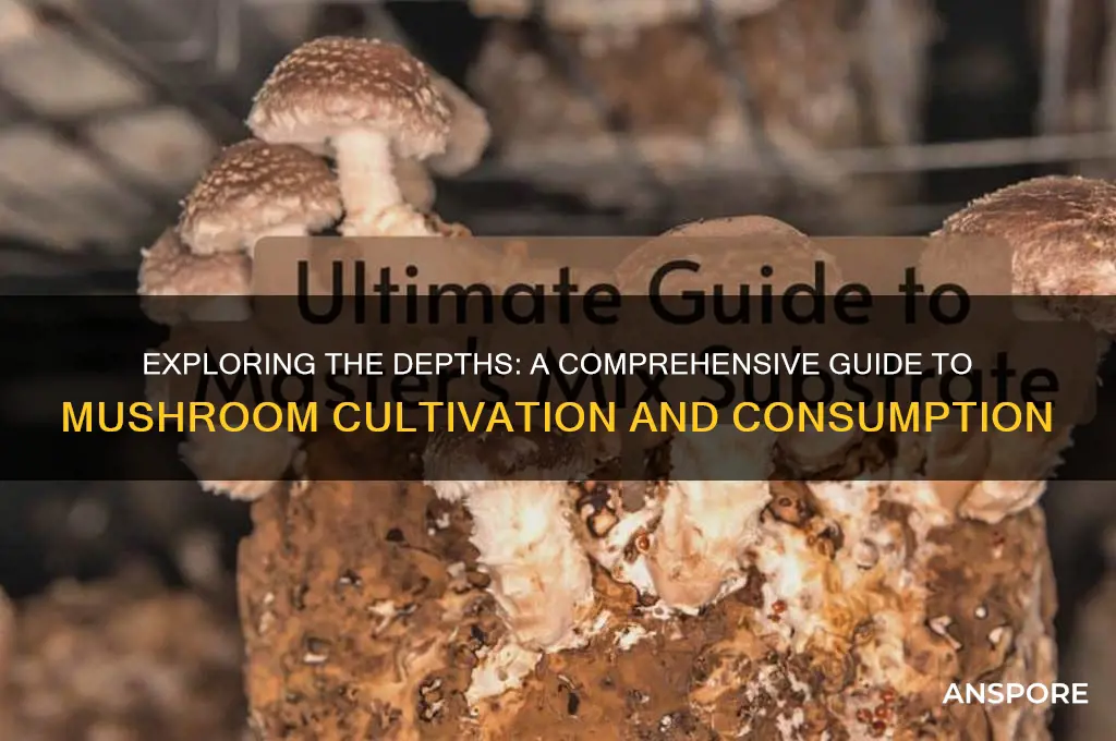 how to go deep on mushrooms
