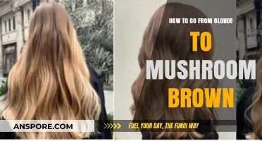 Transforming Blonde Hair to Trendy Mushroom Brown: A Step-by-Step Guide