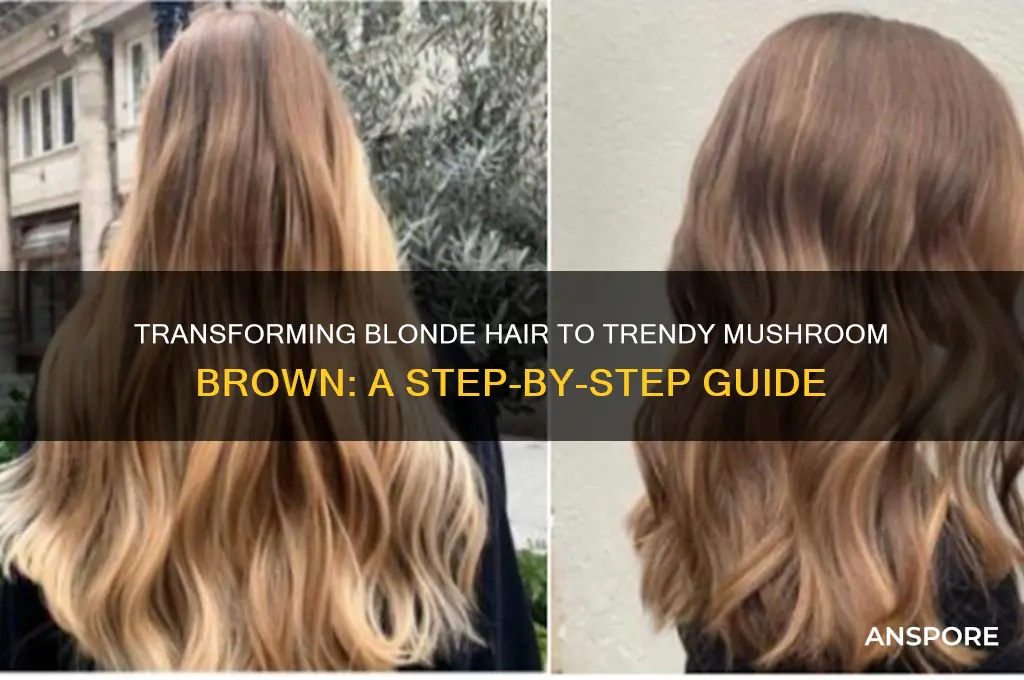 how to go from blonde to mushroom brown