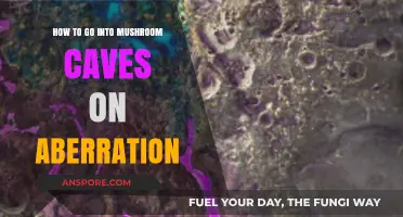 Exploring Aberration's Mushroom Caves: A Survival Guide for Adventurers