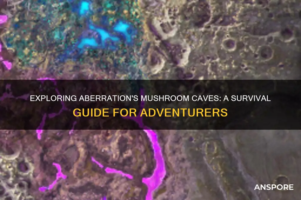 how to go into mushroom caves on aberration