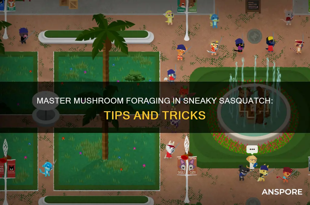 how to go mushroom foraging in sneaky sasquatch