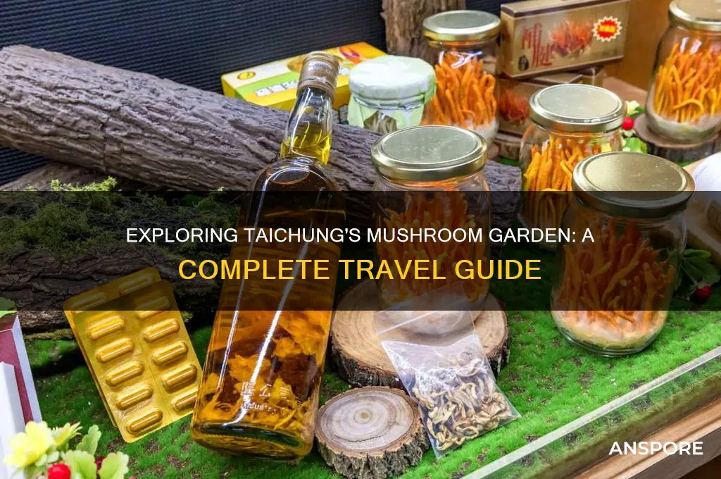 how to go mushroom garden taichung