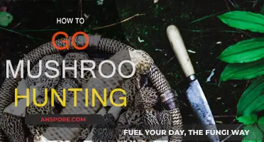 Mushroom Hunting: Tips for Foragers