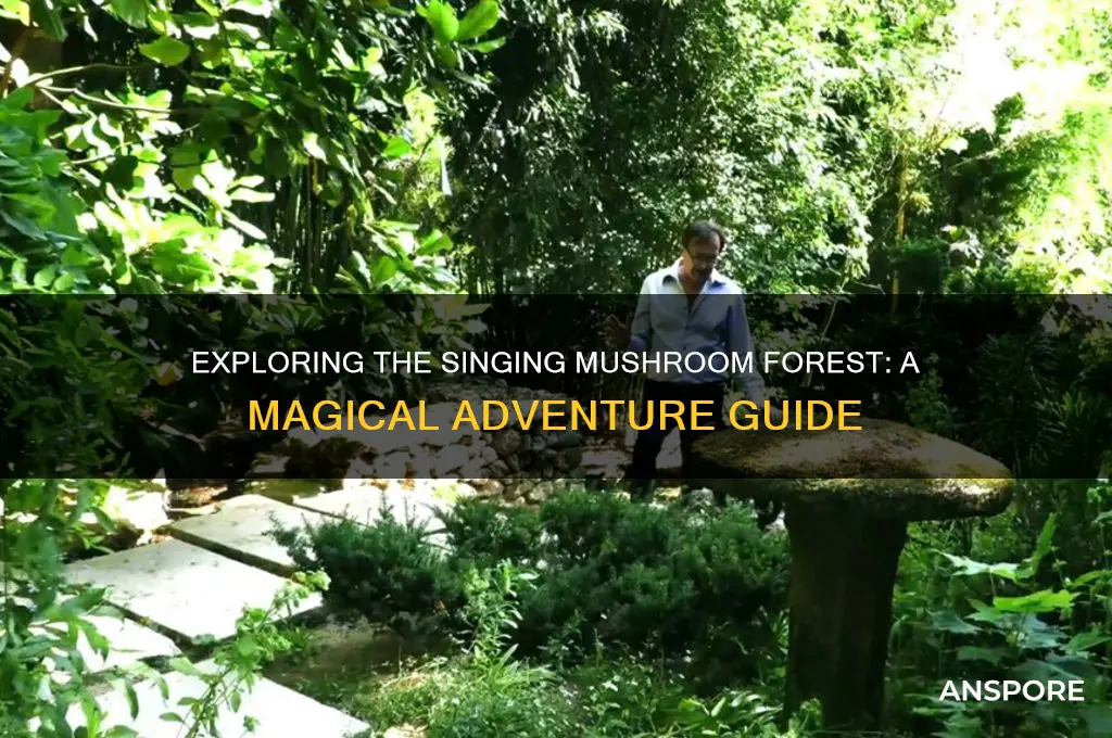 how to go singing mushroom forest