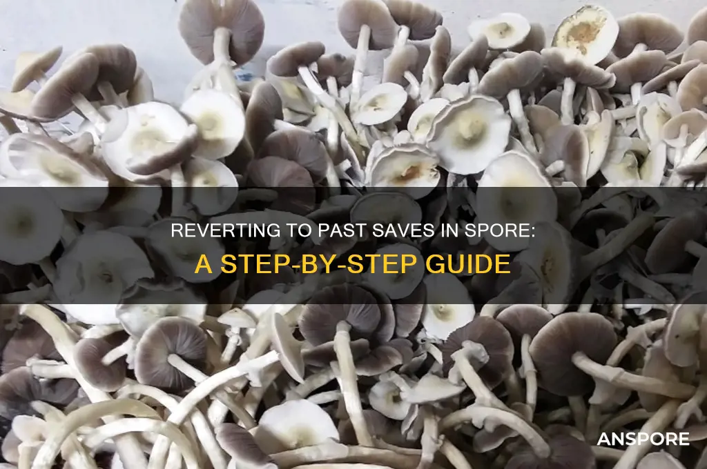 how to go to a previous save in spore
