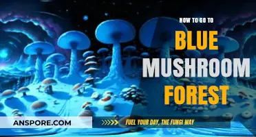 Exploring the Mystical Blue Mushroom Forest: A Complete Adventure Guide