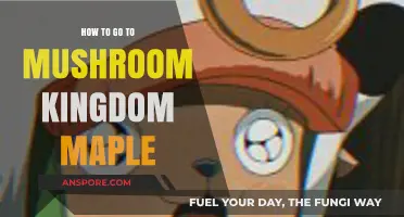 Exploring Mushroom Kingdom Maple: A Beginner's Guide to Visiting