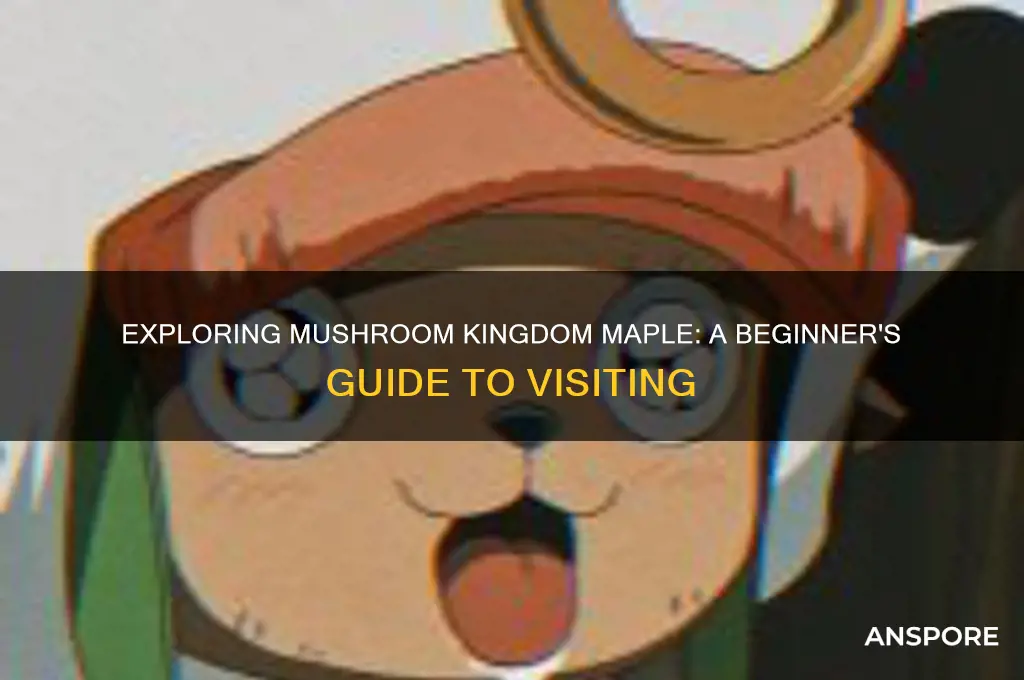 how to go to mushroom kingdom maple