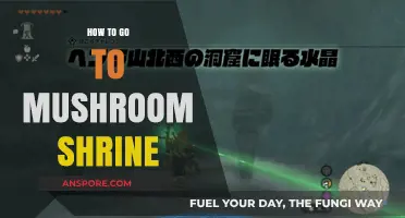 Discover the Mystical Mushroom Shrine: A Step-by-Step Adventure Guide