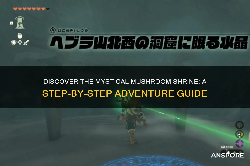 how to go to mushroom shrine